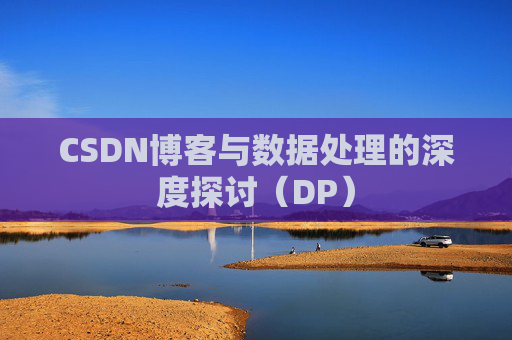 CSDN博客与数据处理的深度探讨（DP）